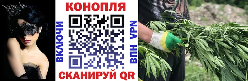 Бошки Шишки планчик  Кировград 